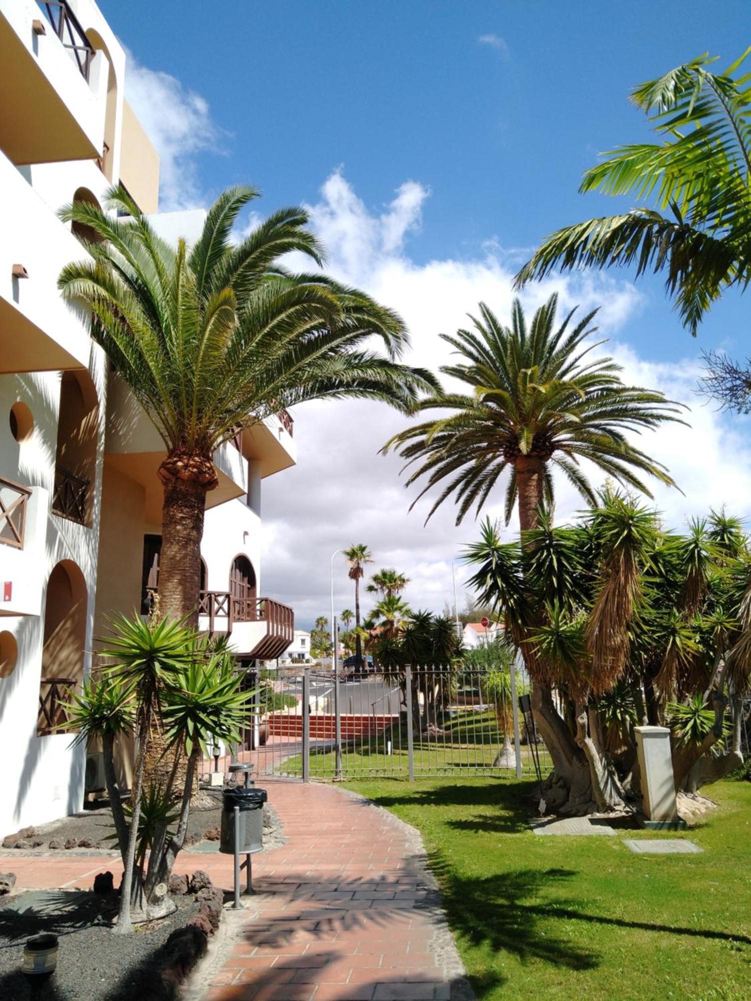 Forest Flat - Big Heated Pool, Terrace, Tv Channels, Golf Courses San Miguel de Abona Exterior photo